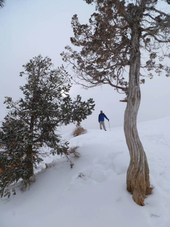 Trilha com muita neve no Bryce Canyon National Park, em Utah, nos Estados Unidos